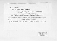 Image Associated With the Occurence